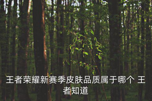 王者荣耀新赛季皮肤品质属于哪个 王者知道