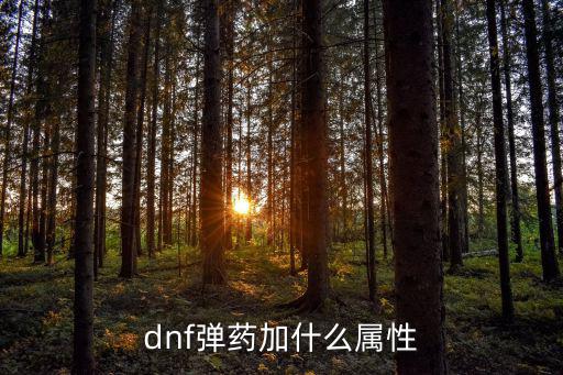 dnf弹药加什么属性