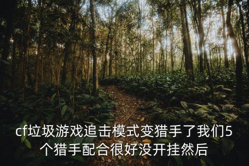 cf垃圾游戏追击模式变猎手了我们5个猎手配合很好没开挂然后
