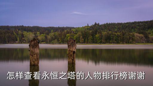 怎样查看永恒之塔的人物排行榜谢谢