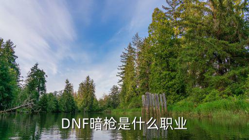 dnf暗属性是什么职业，DNF暗枪是什么职业