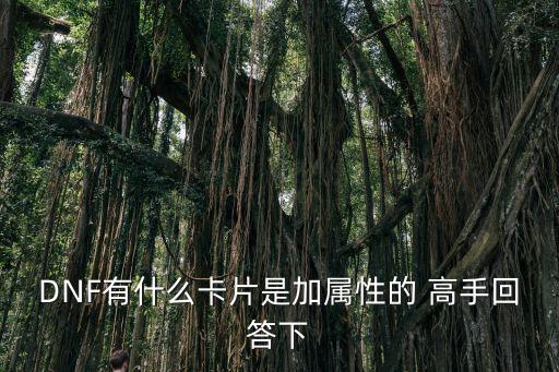 dnf什么卡加所有属性，DNF中什么是属性卡