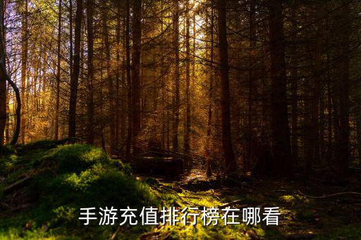 绝境幸存者手游排行榜怎么看，怎么看我游戏排名