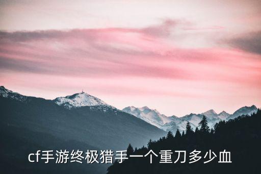 cf手游终极猎手一个重刀多少血
