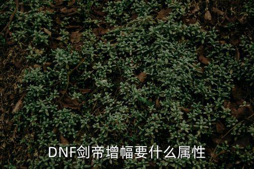 DNF剑帝增幅要什么属性