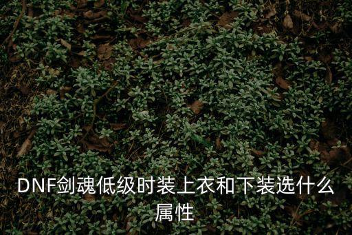 dnf剑影下装选什么属性，DNF下装怎么选择属性