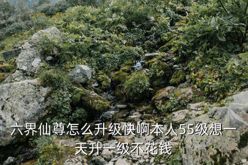 六界仙尊怎么升级快啊本人55级想一天升一级不花钱