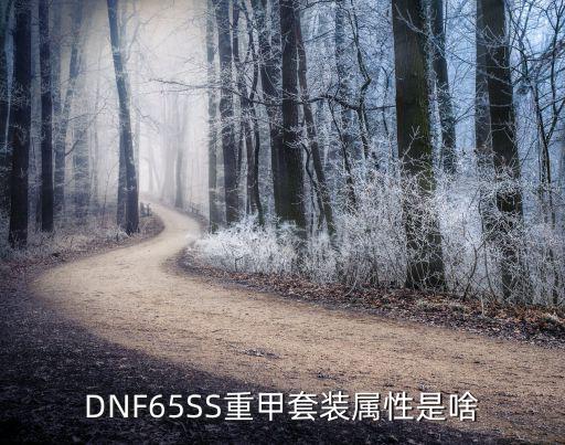 dnf重甲是什么属性，DNF65SS重甲套装属性是啥