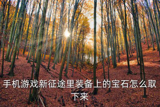手机游戏新征途里装备上的宝石怎么取下来