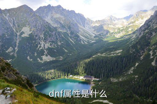 dnf属性是什么