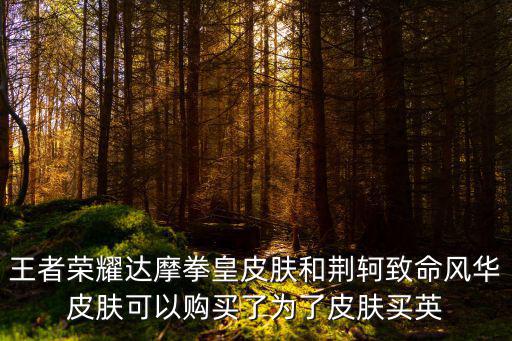 王者荣耀达摩拳皇皮肤和荆轲致命风华皮肤可以购买了为了皮肤买英