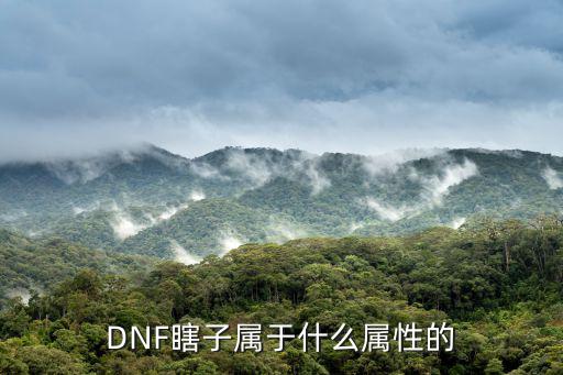 DNF瞎子属于什么属性的