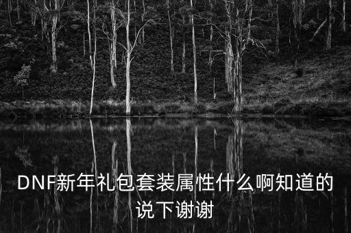 DNF新年礼包套装属性什么啊知道的说下谢谢