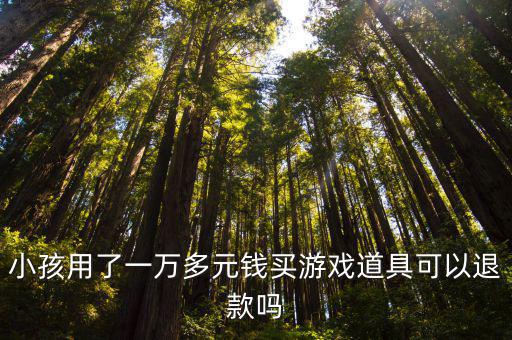 小孩用了一万多元钱买游戏道具可以退款吗