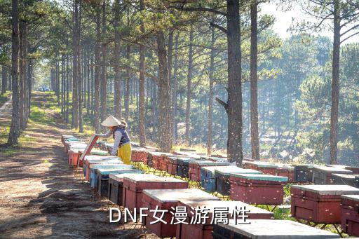 dnf 迷你女漫什么属性，dnf宠物迷你女漫游怎么攻击