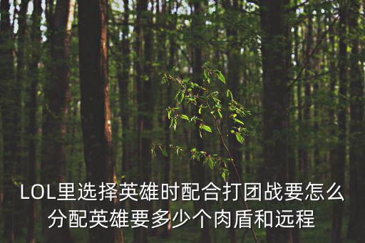 LOL里选择英雄时配合打团战要怎么分配英雄要多少个肉盾和远程