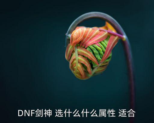 dnf剑神主打什么属性，DNF剑神 选什么什么属性 适合