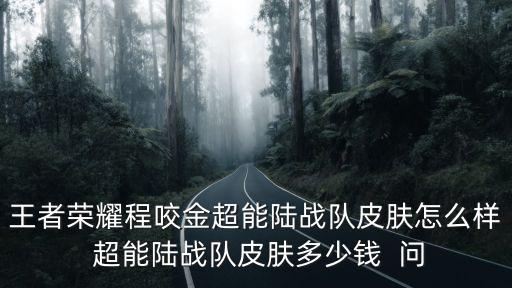 王者荣耀程咬金超能陆战队皮肤怎么样 超能陆战队皮肤多少钱 问