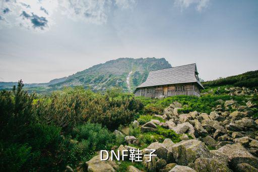 dnf大幽魂鞋子什么属性，dnf稀有套装鞋子选什么属性