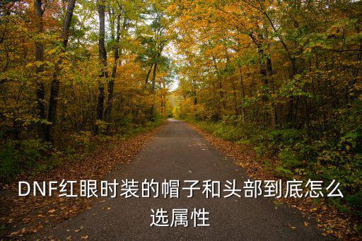 DNF红眼时装的帽子和头部到底怎么选属性