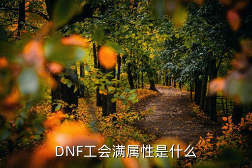 DNF工会满属性是什么