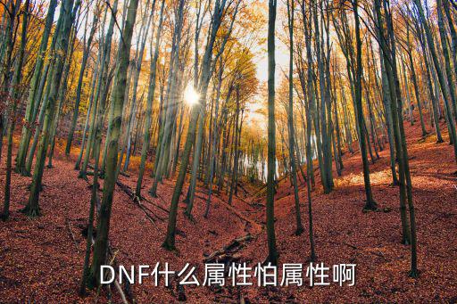 dnf龙族怕什么属性，为何龙族大法师与其他神秘系的属性克制不1样