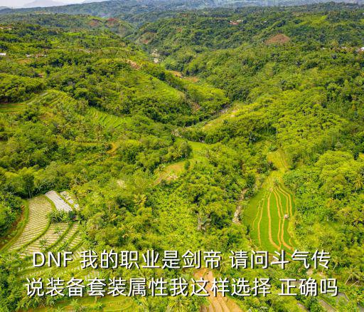 DNF 我的职业是剑帝 请问斗气传说装备套装属性我这样选择 正确吗