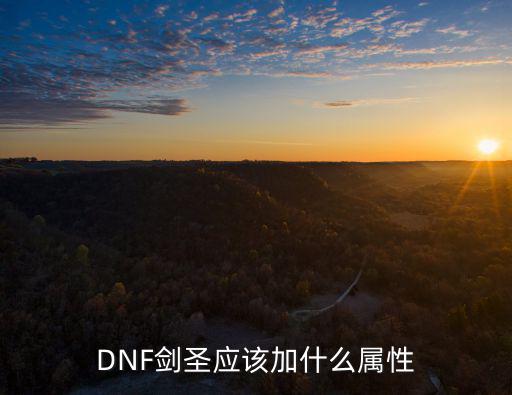 dnf天空剑圣要什么属性，DNF剑圣应该加什么属性