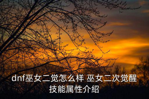 dnf巫女是走什么属性，dnf巫女二觉怎么样 巫女二次觉醒技能属性介绍