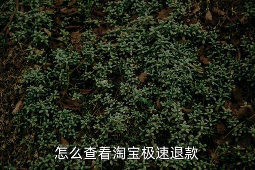 怎么查看淘宝极速退款