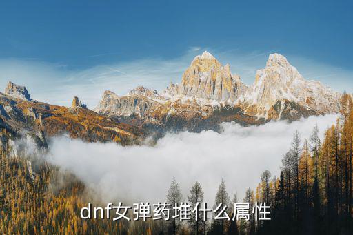 dnf女弹药做什么属性，dnf女弹药堆什么属性