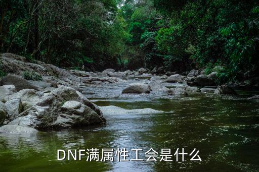 DNF满属性工会是什么