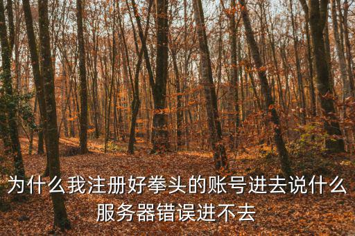为什么我注册好拳头的账号进去说什么服务器错误进不去