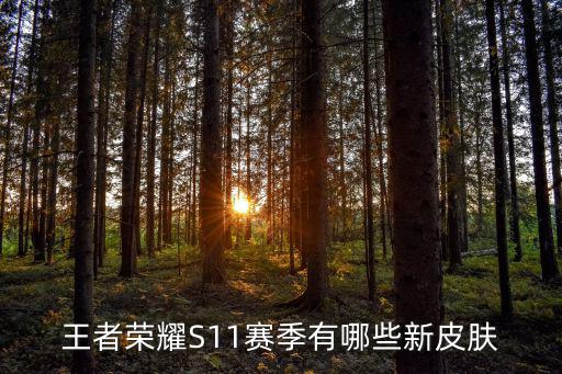 王者荣耀S11赛季有哪些新皮肤