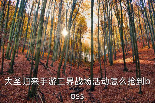 大圣归来手游三界战场活动怎么抢到boss