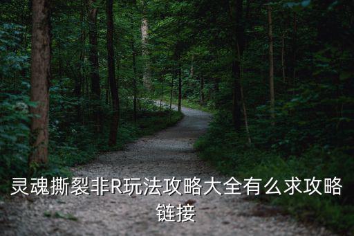 灵魂撕裂非R玩法攻略大全有么求攻略链接