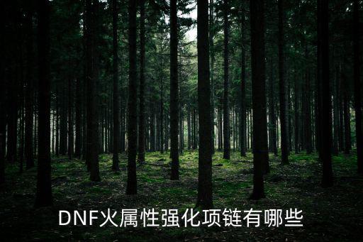 dnf强化项链加什么属性，DNF中装备加什么属性强化好我是魔神