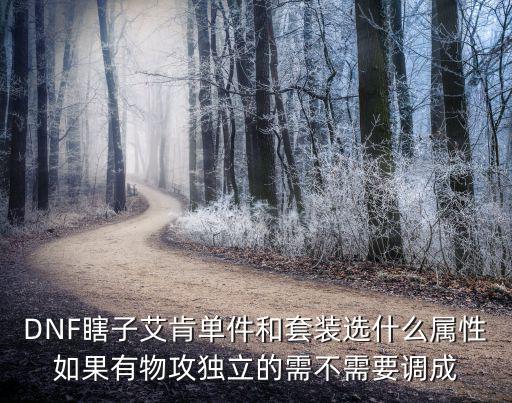 dnf瞎子艾肯什么属性，瞎子做艾肯要选什么属性的套装散件选什么属性