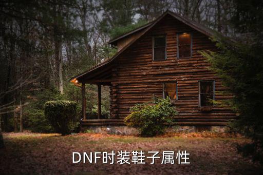 dnf装扮鞋子选什么属性，DNF里时装鞋子的属性选什么