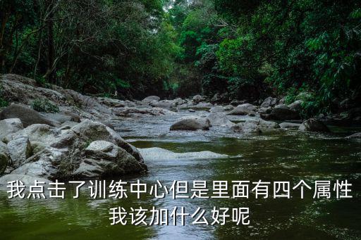 我点击了训练中心但是里面有四个属性我该加什么好呢