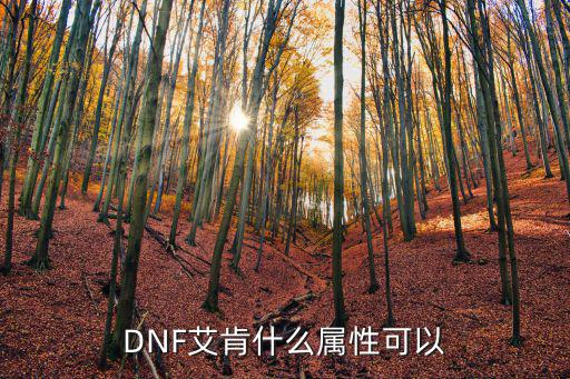 dnf艾肯是什么属性，dnf完美艾肯是什么属性