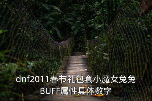 dnf小魔女堆什么属性，dnf2011春节礼包套小魔女兔兔BUFF属性具体数字