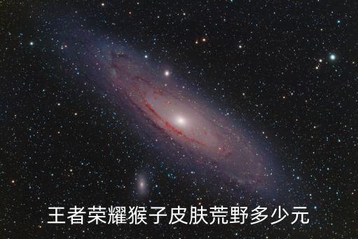 王者荣耀猴子皮肤荒野多少元