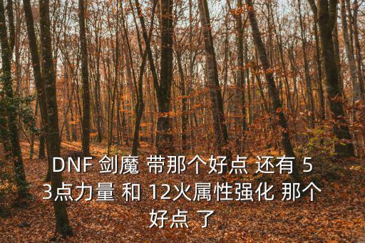 DNF 剑魔 带那个好点 还有 53点力量 和 12火属性强化 那个好点 了