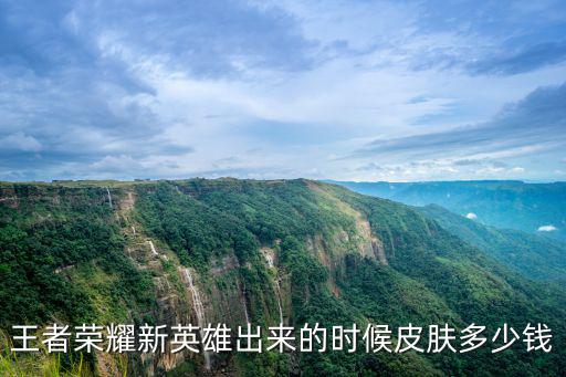 王者荣耀新英雄出来的时候皮肤多少钱
