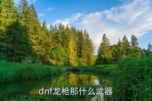 dnf龙枪那什么武器