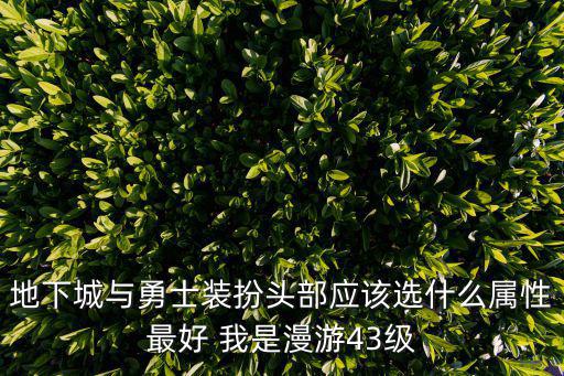 地下城与勇士装扮头部应该选什么属性最好 我是漫游43级