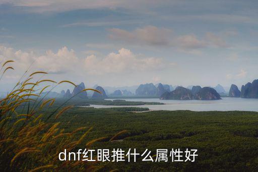 dnf红眼推什么属性好