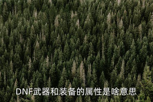DNF武器和装备的属性是啥意思