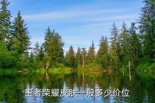 王者荣耀皮肤一般多少价位
